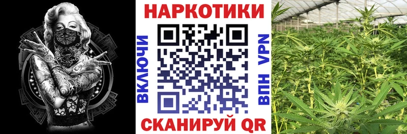 Названия наркотиков Лосино-Петровский Alpha-PVP  Марихуана  Cocaine 