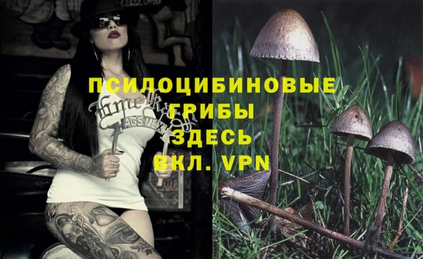 МДПВ Нягань