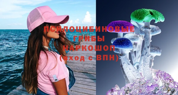 гидра Тында