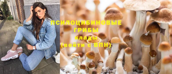 ALPHA PVP Новозыбков