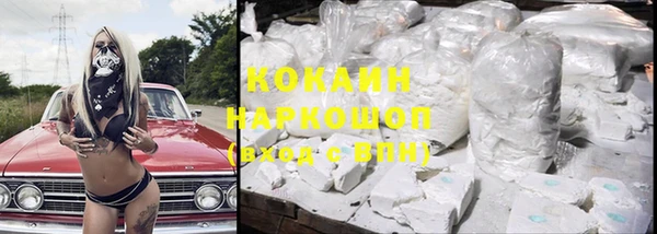 дмт Няндома