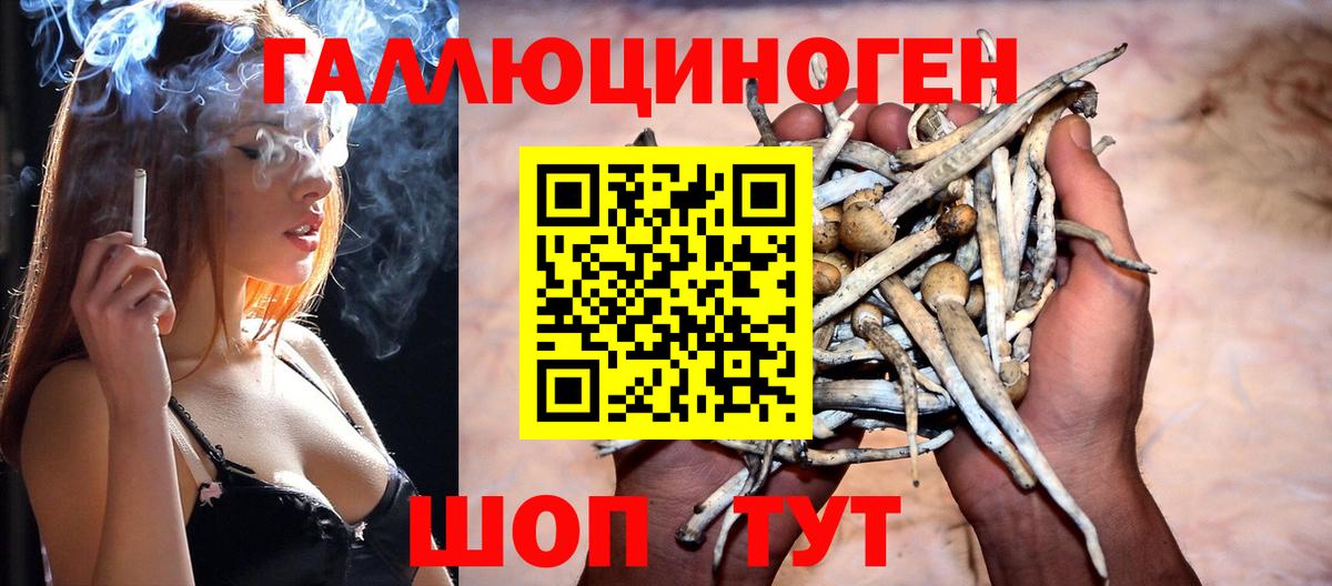 Лосино-Петровский  Псилоцибиновые грибы мицелий  Галлюциногенные грибы прущие грибы  Вход с VPN 