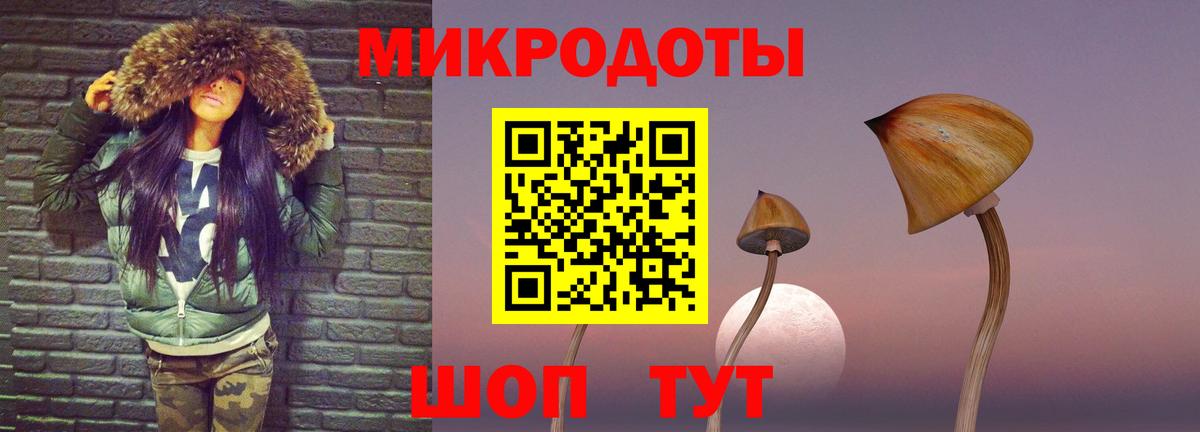 Псилоцибиновые грибы прущие грибы Лосино-Петровский